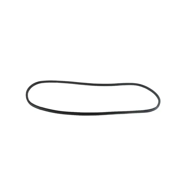 Genuine Mopar 55399256AE Front Door Secondary Weatherstrip For Dodge & Jeep Models 2 55399256AE
