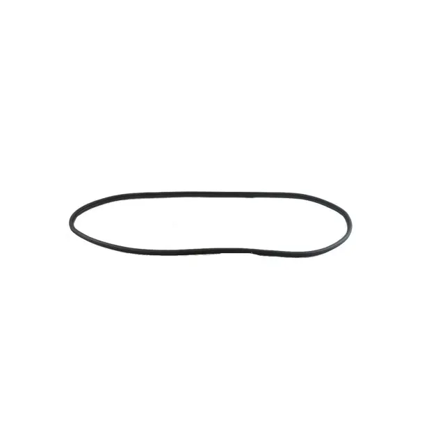 Genuine Mopar 55399256AE Front Door Secondary Weatherstrip For Dodge & Jeep Models 1 55399256AE