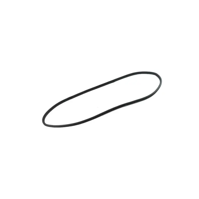Genuine Mopar 55399256AE Front Door Secondary Weatherstrip For Dodge & Jeep Models 3 55399256AE