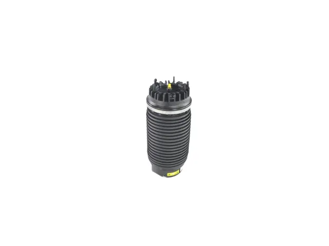 Genuine Mopar 68260938AB Air Suspension Spring Assembly,Right For Ram Models 3 68260938AB